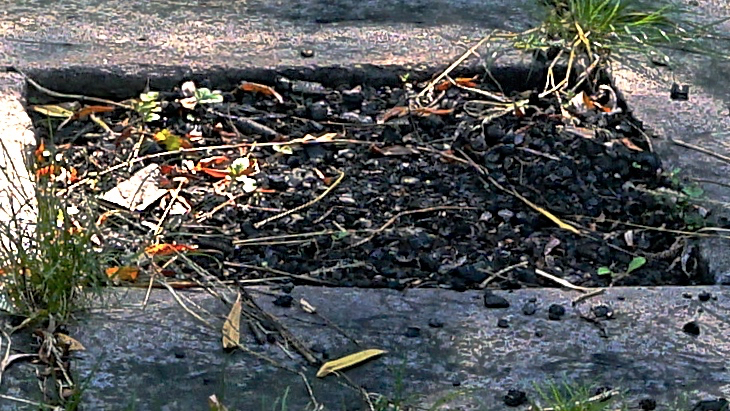 Dead embers